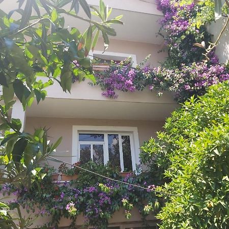 Flowers Guesthouse Tiran Dış mekan fotoğraf