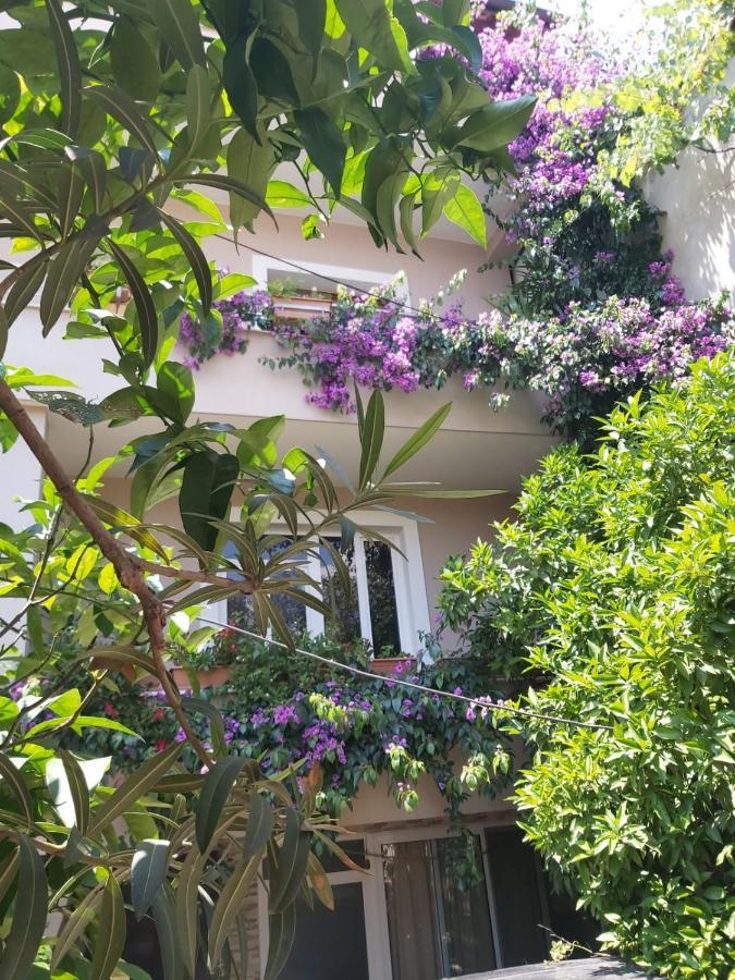 Flowers Guesthouse Tiran Dış mekan fotoğraf