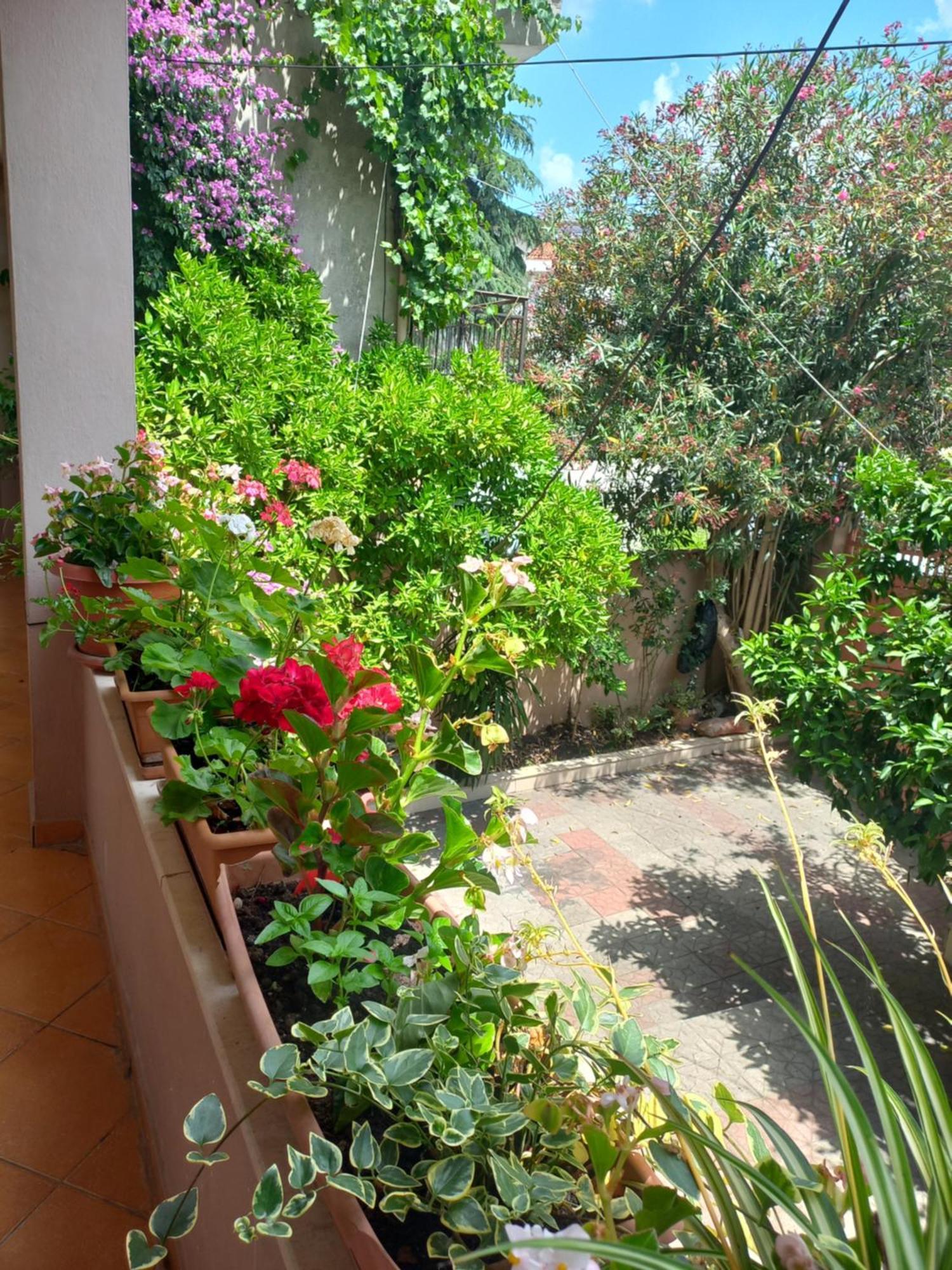 Flowers Guesthouse Tiran Dış mekan fotoğraf